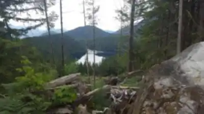 Pine Lake hiking trail - natural landscape