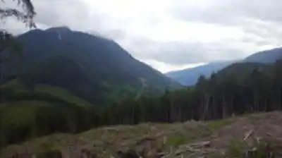 Discover Pine Lake in Vancouver Coast Mountains