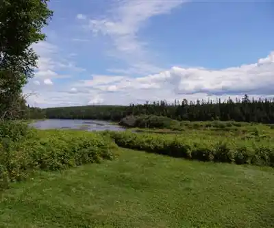 Sentier de randonnée Aroostook River - paysage naturel