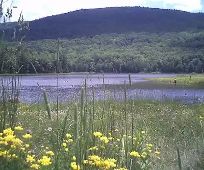 Colgate Lake hiking trail - natural landscape