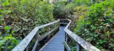 Découvrir Jordan River en Île de Vancouver
