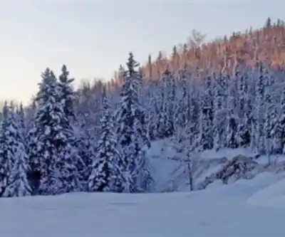 Lutsen Mountains hiking trail - natural landscape