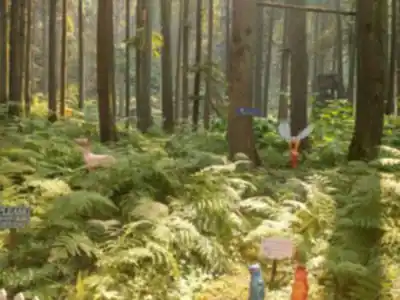 Nature walk at The Enchanted Forest