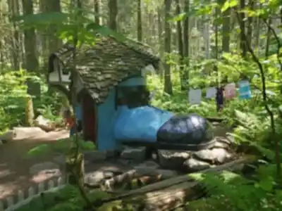 The Enchanted Forest scenery - hiking