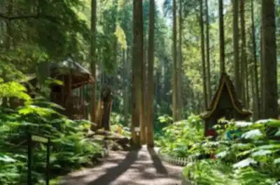 On the trails of The Enchanted Forest
