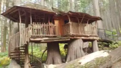 Discover The Enchanted Forest in Kootenay Rockies