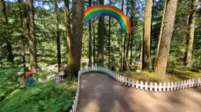 Explore The Enchanted Forest trail
