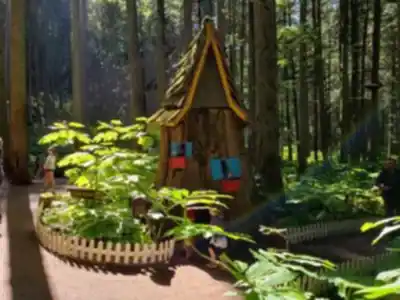 Hiking view of The Enchanted Forest