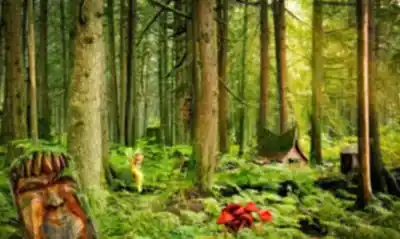 The Enchanted Forest hiking trail - natural landscape