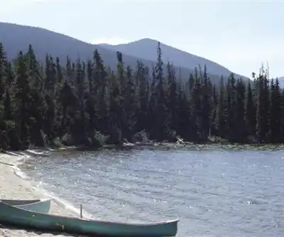 Sentier de randonnée Widgeon Lake - paysage naturel