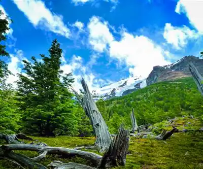 Fossil Mountain hiking trail - natural landscape