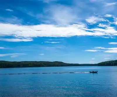 Moose Pond hiking trail - natural landscape