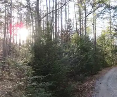Sentier de randonnée Bear Brook State Park - paysage naturel