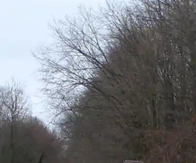 Harlem Valley Rail Trail hiking trail - natural landscape