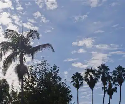 South Coast Botanic Garden hiking trail - natural landscape