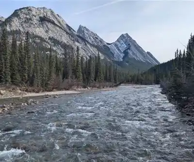 Siffleur Falls hiking trail - natural landscape