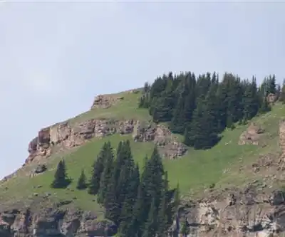 Wind Ridge Trail hiking trail - natural landscape