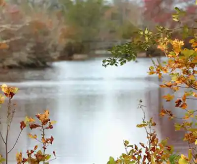 Sentier de randonnée Connetquot River State Park Preserve - paysage naturel