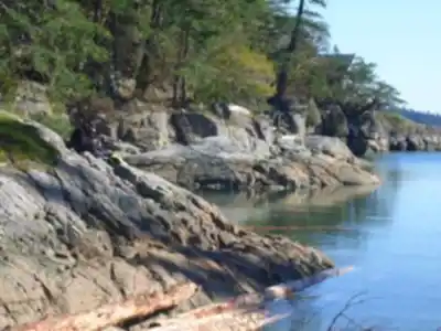 Randonnée Halfmoon Bay - nature et plein air