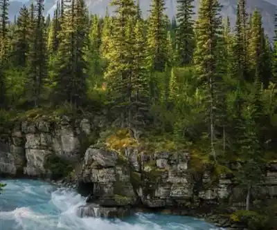 On the trails of Mount Robson