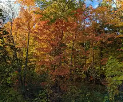 Sentier de randonnée Betty Sutherland Trail - paysage naturel