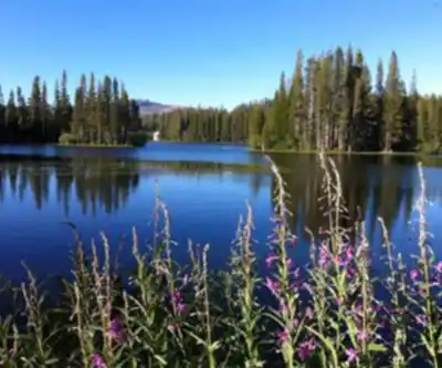 Donner Ski Ranch hiking trail - natural landscape