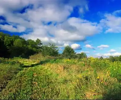 Mountain Meadow Preserve hiking trail - natural landscape