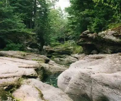 Poley Mountain hiking trail - natural landscape