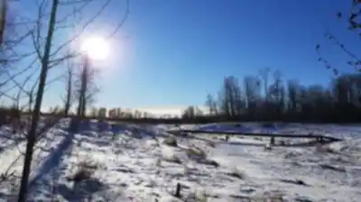 Hiking view of Wood Bison Trail