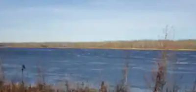 Discover Wood Bison Trail in Peace Country