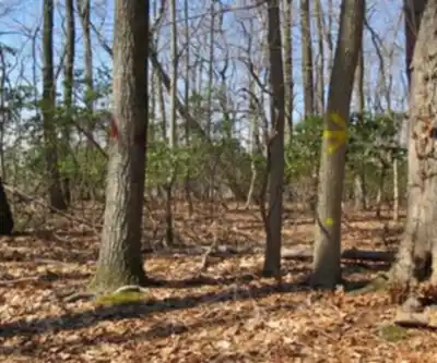 Delaware and Raritan Canal State Park Trails hiking trail - natural landscape