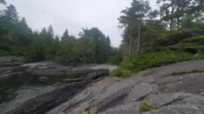 Botanical Beach Provincial Park hike - nature and outdoors