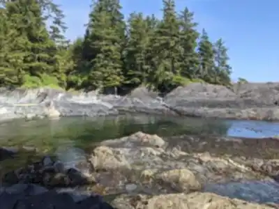 Botanical Beach Provincial Park hiking trail - natural landscape