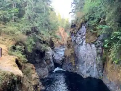 Vue en randonnée de Englishman River Falls Provincial Park