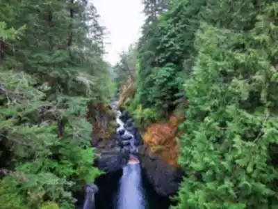 Randonnée Englishman River Falls Provincial Park - nature et plein air