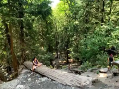 Explore Bridal Veil Falls Provincial Park trail
