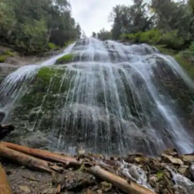 Bridal Veil Falls Provincial Park hiking trail - natural landscape