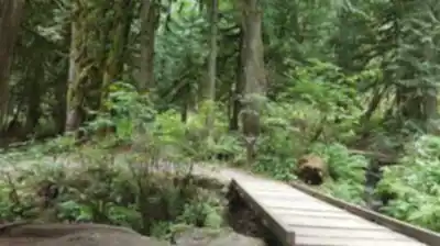 Bridal Veil Falls Provincial Park hike - nature and outdoors