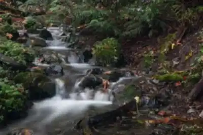 Hiking view of Bridal Veil Falls Provincial Park