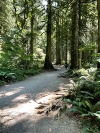 Discover Bridal Veil Falls Provincial Park in Vancouver Coast Mountains