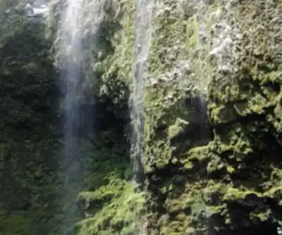 Hawaii Waipio Valley &amp; Mauna Kea hiking trail - natural landscape