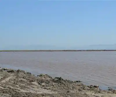 Don Edwards San Francisco Bay National Wildlife Refuge hiking trail - natural landscape