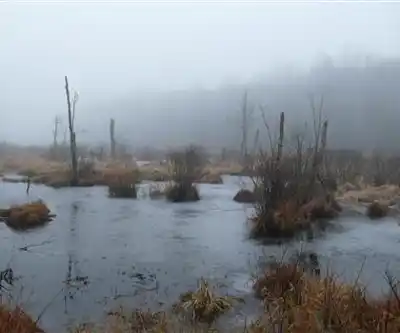 Wawayanda Lake hiking trail - natural landscape