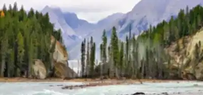 Discover Wapta Falls in Kootenay Rockies