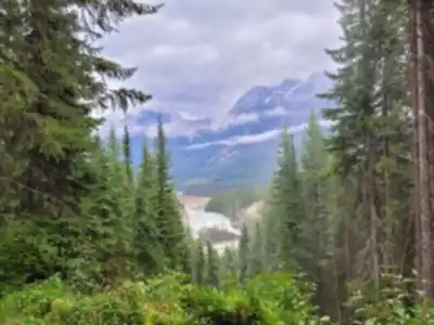Hiking view of Wapta Falls
