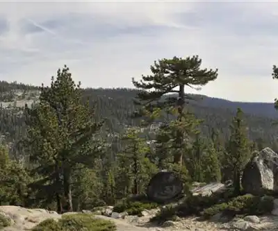 White Wolf Campground hiking trail - natural landscape