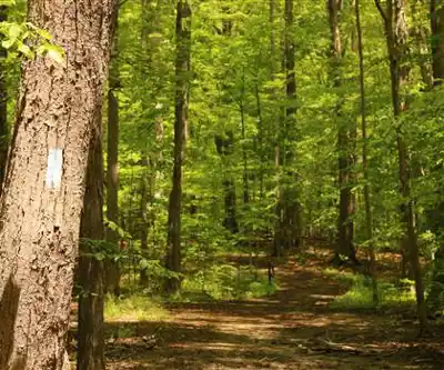 Buckeye Trail hiking trail - natural landscape