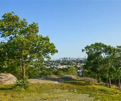 Sentier de randonnée Skyline Park - paysage naturel