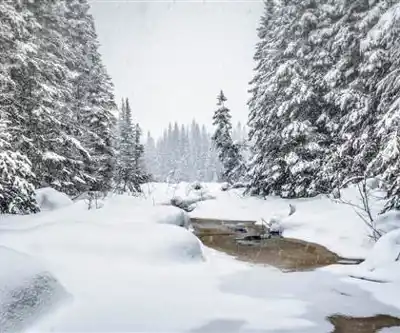 Explore Mizzy Lake Trail, Algonquin Provincial Park, Ontario trail