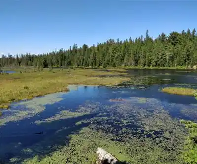 Mizzy Lake Trail, Algonquin Provincial Park, Ontario scenery - hiking